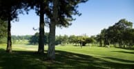 Ponderosa Golf & Country Club, Johor - photo 8